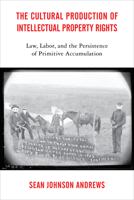 The Cultural Production of Intellectual Property Rights: Law, Labor, and the Persistence of Primitive Accumulation 143991429X Book Cover