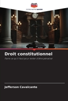 Droit constitutionnel: Faire ce qu'il faut pour éviter d'être pénalisé 6205903393 Book Cover