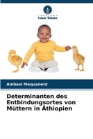 Determinanten des Entbindungsortes von Müttern in Äthiopien (German Edition) 6207143051 Book Cover