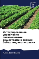Интегрированное управл&# 6205608448 Book Cover