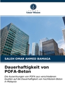 Dauerhaftigkeit von POFA-Beton 6203101893 Book Cover