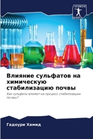 Влияние сульфатов на химическую стабилизацию почвы: Как сульфаты влияют на процесс стабилизации почвы? 6204153234 Book Cover