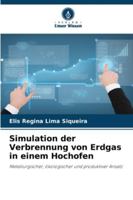 Simulation der Verbrennung von Erdgas in einem Hochofen (German Edition) 6209009859 Book Cover