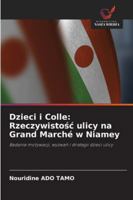Dzieci i Colle: Rzeczywistosc ulicy na Grand Marché w Niamey: Badanie motywacji, wyzwan i strategii dzieci ulicy (Polish Edition) 6208673321 Book Cover