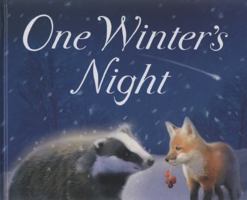 One Winter's Night 1848950136 Book Cover