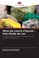 Mine de cuivre d'Aynak: Une étude de cas (French Edition) 6208545927 Book Cover