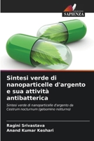 Sintesi verde di nanoparticelle d'argento e sua attività antibatterica (Italian Edition) 6207043596 Book Cover
