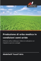 Produzione di erba medica in condizioni semi-aride (Italian Edition) 6209053068 Book Cover