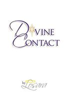 Divine Contact 1441541934 Book Cover