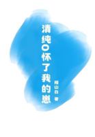 ??o????? (Chinese Edition) B0G4XFLN6J Book Cover