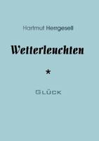 Wetterleuchten: Erzählung 3833407204 Book Cover