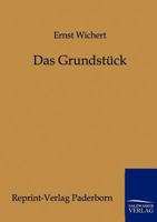 Das Grundst Ck 3842413130 Book Cover