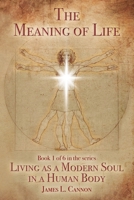 The Meaning of Life: Purpose and Mission of the Human Soul 1546317244 Book Cover