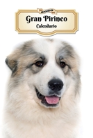 2020 Gran Pirineo Calendario: 107 P�ginas - Tama�o A5 - Planificador Semanal - 12 Meses - 1 Semana en 2 P�ginas - Agenda Semana Vista - Tapa Blanda - Perro 1074736397 Book Cover