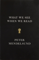 What We See When We Read 0804171637 Book Cover