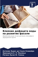 ??????? ???????? ???? ?? ???????? ??????: ??????????? ????-?????-????????-????????? ? ?????????? ?????? (Russian Edition) 6207716132 Book Cover