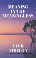 Meaning In The Meaningless: Musings on the Power of the Present Moment and Other Random Thoughts from a Writer's Life B095GQG3LR Book Cover