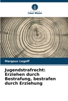 Jugendstrafrecht: Erziehen durch Bestrafung, bestrafen durch Erziehung 6209666817 Book Cover