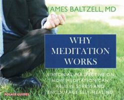 Why Meditation Works: Meditation from a Medical Perspective (Polair Guides) (Polair Guides) 1905398085 Book Cover