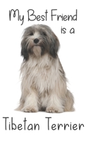My best Friend is a Tibetan Terrier: 8” x 5” Blank lined Journal Notebook 120 College Ruled Pages (Best Friends) 1712591959 Book Cover