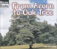 From Acorn to Oak Tree (Welcome Books) 0516238124 Book Cover