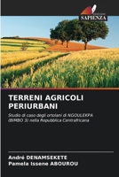 TERRENI AGRICOLI PERIURBANI: Studio di caso degli ortolani di NGOULEKPA (BIMBO 3) nella Repubblica Centrafricana (Italian Edition) 3639644557 Book Cover