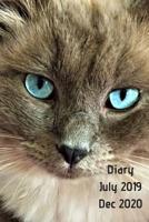 Diary July 2019 Dec 2020: 6x9 week to a page 18 month diary. Space for notes and to do list on each page. Perfect for teachers, students and small business owners. Blue point ragdoll cat with grey bac 1079510044 Book Cover