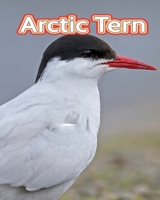 Arctic Tern: Facts Book B0C1DL7FL5 Book Cover