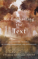 Re-Enchanting the Text: Discovering the Bible as Sacred, Dangerous, and Mysterious 1540965139 Book Cover