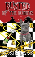 Busted by the Bubbles B0C9S853LW Book Cover