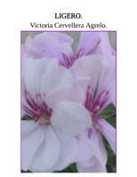 LIGERO. (Spanish Edition) B0D64Z5751 Book Cover