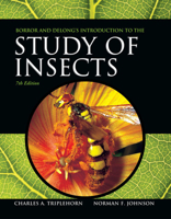 Borror and DeLong's Introduction to the Study of Insects 0030968356 Book Cover