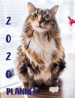 Planner 2020: 365 Days Daily Weekly & Monthly Personal Appointment at a Glance Calendar Planner Spread Views 12 Months to Do List Jan 1, 2020 to Dec 31, 2020 Design Maine Coon Cats Lover Cover 1677226358 Book Cover