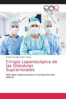 Cirugía Laparoscópica de las Glándulas Suprarrenales: Abordaje laparoscópico transperitoneal lateral 6203039101 Book Cover