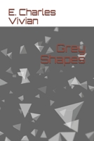 Grey Shapes B08VBH5SSW Book Cover