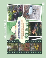 O'Loty invites you into the magical forest Boreea: O'Loty te invita al bosque mágico de Boreea (O'Loty the squirrel - la ardilla bil. Spanish) 2492086097 Book Cover