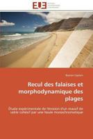 Recul Des Falaises Et Morphodynamique Des Plages 3841789536 Book Cover