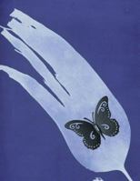 Storybook Paper Notebook: Black Butterfly with Blue Background 1718801203 Book Cover