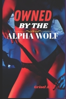 OWNED BY THE ALPHA WOLF: A Fated Mates Paranormal Romance (Werewolf Shifter Romance Book 1) B0FQ651RSK Book Cover