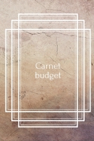 Carnet Budget: Carnet Budget, Livre De Compte, Carnet budget mensuel, Livre de compte Priv�s, Livre de compte mensuel, Comptes de livre de caisse, livre de compte micro entreprise B084DH6D4Q Book Cover