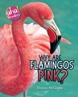 Why Are Flamingos Pink? (Aha! Readers) 0999092472 Book Cover