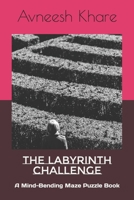 The Labyrinth Challenge: A Mind-Bending Maze Puzzle Book B0BTS9G3MP Book Cover