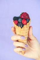 Fruits of Our Labor 1388475472 Book Cover