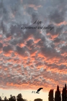 A life of experiences and feelings B0D343J8KQ Book Cover