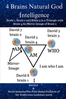 4 Brains Natural God Intelligence: Brain 1, Brain 2 and Brain 3 in a Triangle with Brain 4 As Mirror Image Of Brain 2 B0CQMFRKWV Book Cover