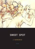 Sweet Spot: Poems 0810128152 Book Cover