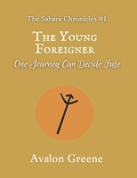 The Young Foreigner: One journey can decide fate 1670195260 Book Cover