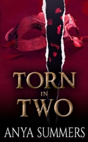 Torn In Two B08T8HHCDL Book Cover