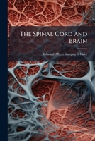 The Spinal Cord and Brain 1023741466 Book Cover