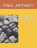 Schizophrenia Or Growing Pains? 1087481015 Book Cover